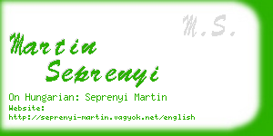 martin seprenyi business card